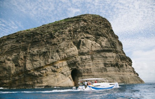 Island Discovery