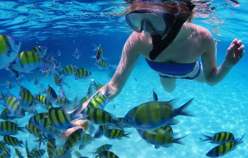 Snorkeling